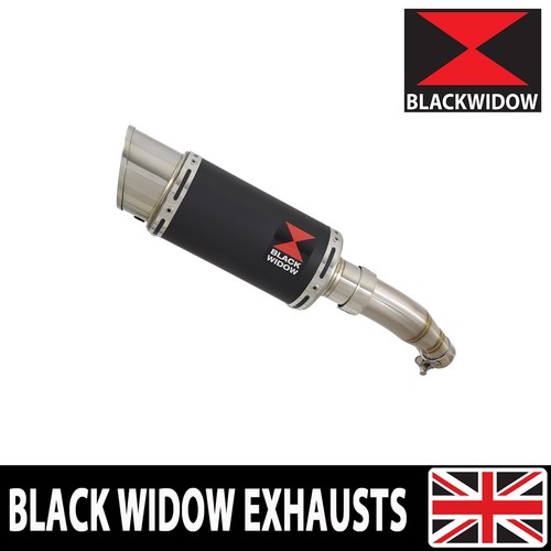 Ninja 250 exhaust - 250,