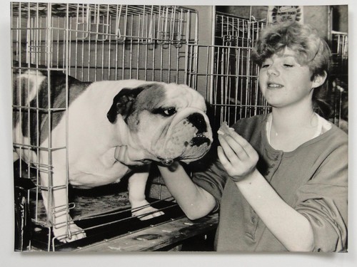 Shreen newman british bulldog - shreen,