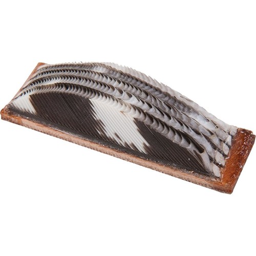 Wild turkey feather arrow rest - turkey,