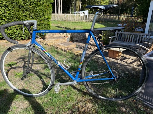 Vintage 1979 gazelle - vintage, champion