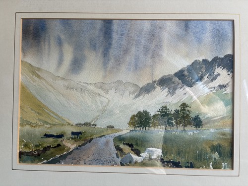 Framed original watercolour