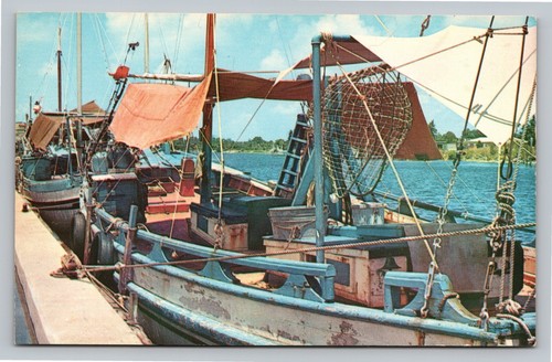 Tarpon springs florida sunny - tarpon,