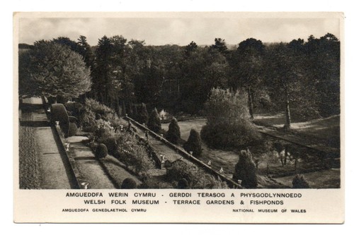 Antique postcard welsh - antique,