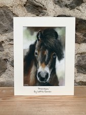 Peaseblossom Exmoor Pony Foal
