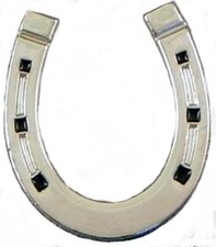 Horseshoe Metal Pin Badge
