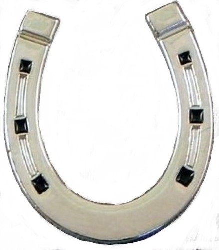 Horseshoe metal pin - pin, badge