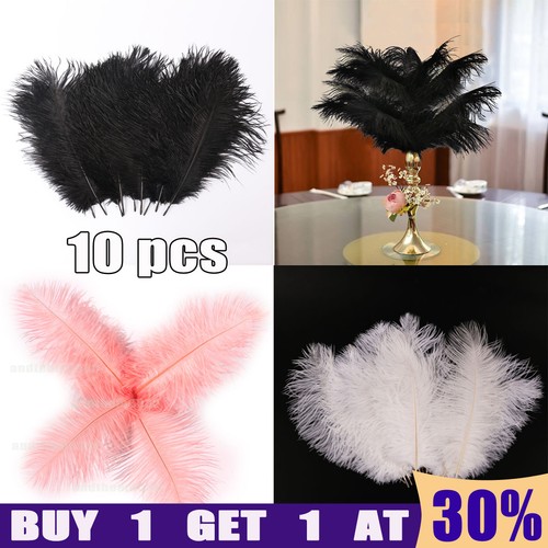 10pcs natural ostrich - 10pcs,