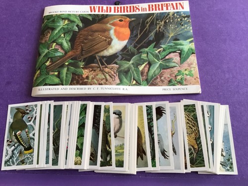 Wild birds britain - in,