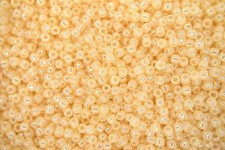 10g Toho Japanese Seed Beads