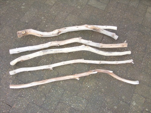 Large driftwood - large,