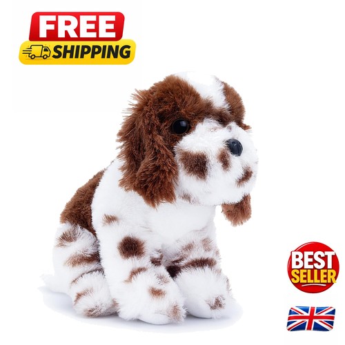 Soft stylish springer spaniel - stylish,