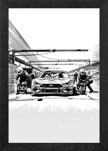 Nascar stock car pit - stock, framed