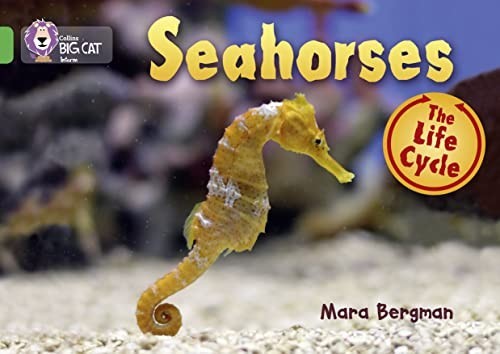 Seahorses band green - seahorses:, 05/green