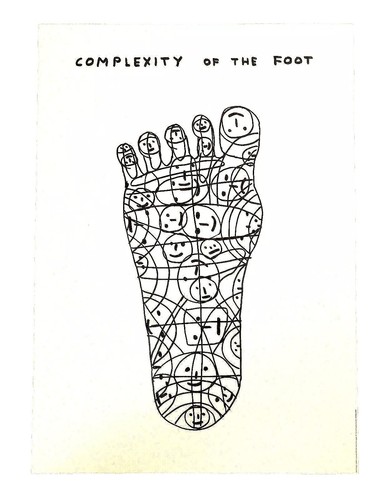 David shrigley complexity - david,