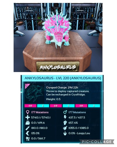 Ark survival ascended pve - survival,