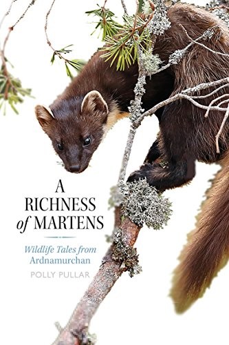 Richness martens - richness,