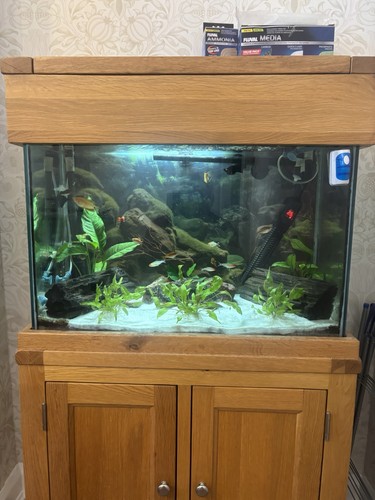Aqua oak aquarium cabinet - aqua, &