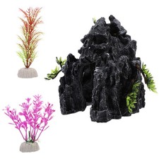  Lizard Tank Accessories