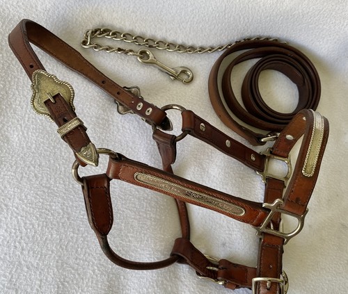 Circle silver show halter - y,