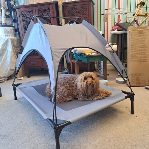 Doggo sunlounger with - ☀️,