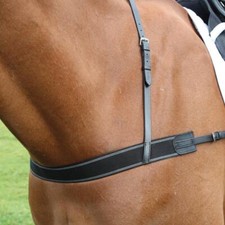 Shires Velociti GARA Elastic