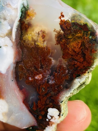 Natural plume agate rough - natural,