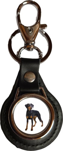 Doberman dog pet - pet, black