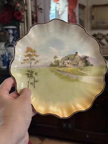 Royal doulton series ware - series,