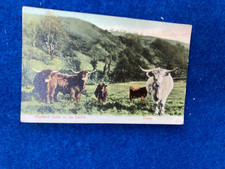 VINTAGE POSTCARD DENNY