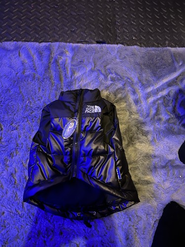Dog jacket for small - dog,