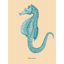 Sea Horse Hippocampus Blue Art