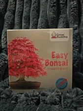 Grow Buddha Easy Bonsi Starter