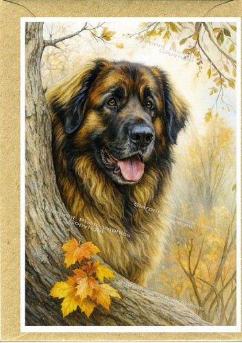 Leonberger dog blank - leonberger, (4"x