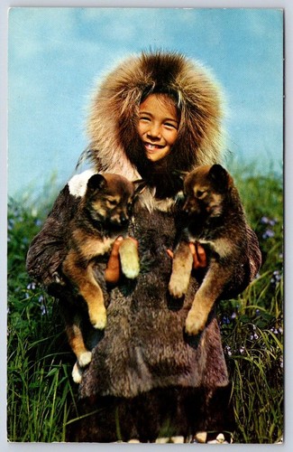 Vintage alaska postcard - vintage,