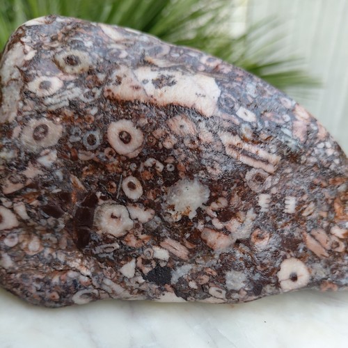 995g red fossil rock - 995g,