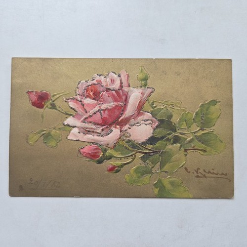 Catharina klein pink rose - pink,