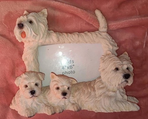 Beautiful vintage westie photo - vintage,