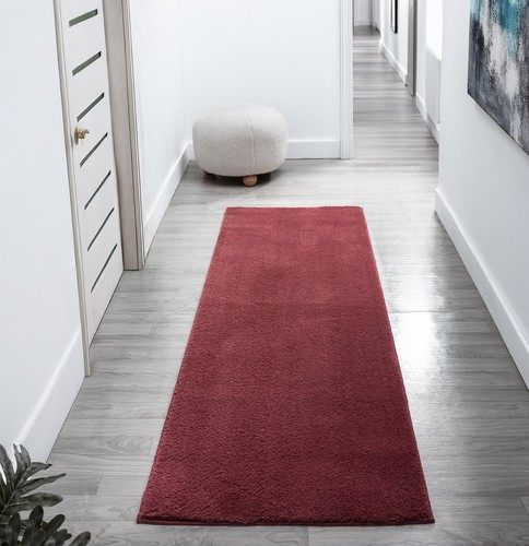 Runner rug for hallway entry - rug,