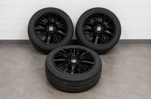 Overfinch centaur - overfinch,
