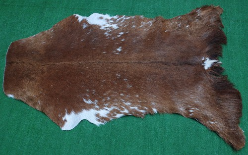 Luxury goat hide rug hair - goat, on