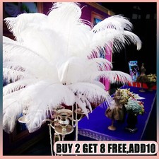 25-30cm Large Ostrich Feathers