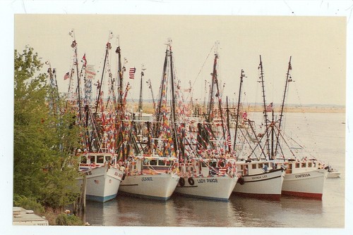 Darien georgia shrimp boats - shrimp,