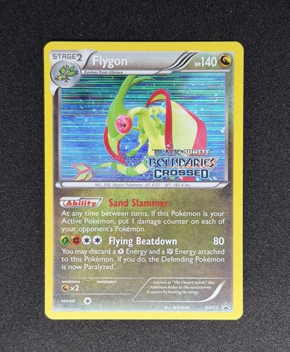 Flygon bw53 boundaries - flygon,
