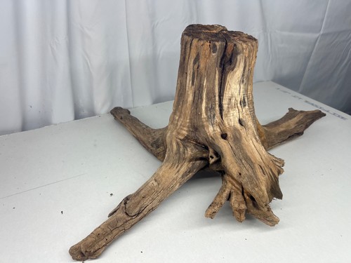 Large driftwood by - by,