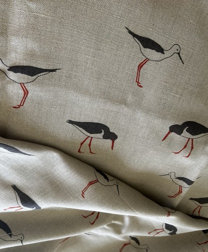 Emily bond oyster catcher - oyster,