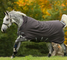 6’6 - Horseware - Amigo