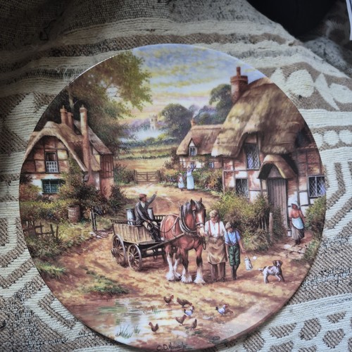 Wedgewood collector plate - collector,