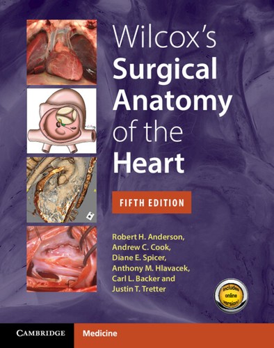Wilcox surgical anatomy of - wilcox's,