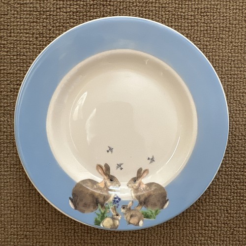 Emma bridgewater england - bridgewater,