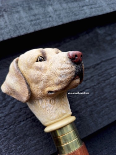 Labrador retriever - 'labrador, retriever'